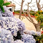 La Chamusca *